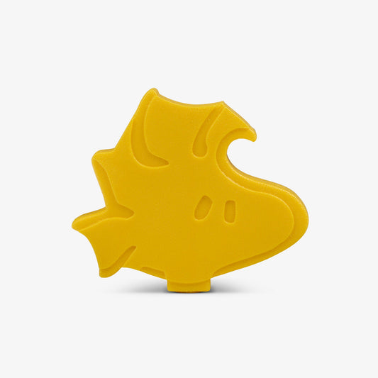 woodstock-ice-block-2-pack-t9 00027950-F.jpg