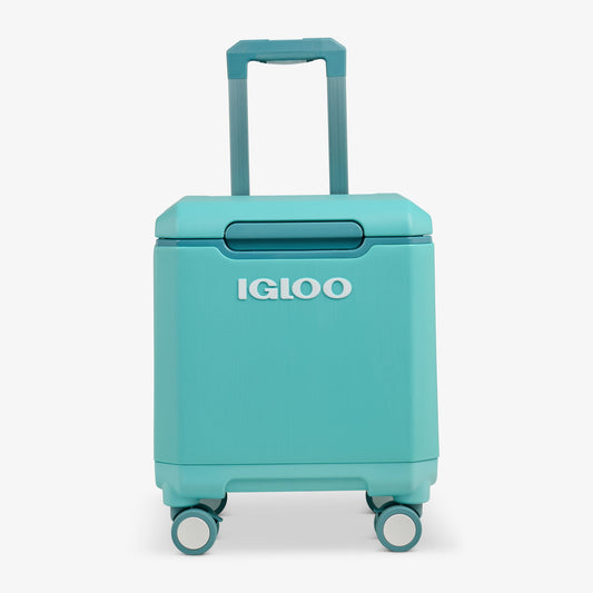tag-along-too-spinner-cooler-q3 00033184-F1_b51e854c-365a-4272-b384-7c3dd41ac0b8.jpg