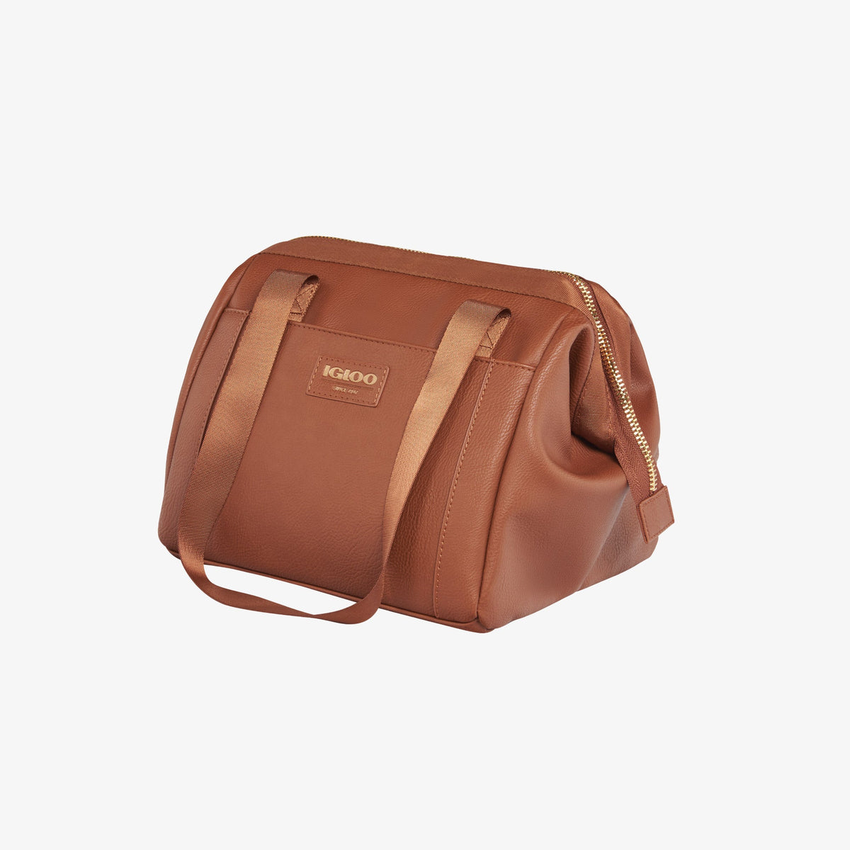igloo-luxe-lunch-tote-cooler-bag-s1 00061160_2.jpg