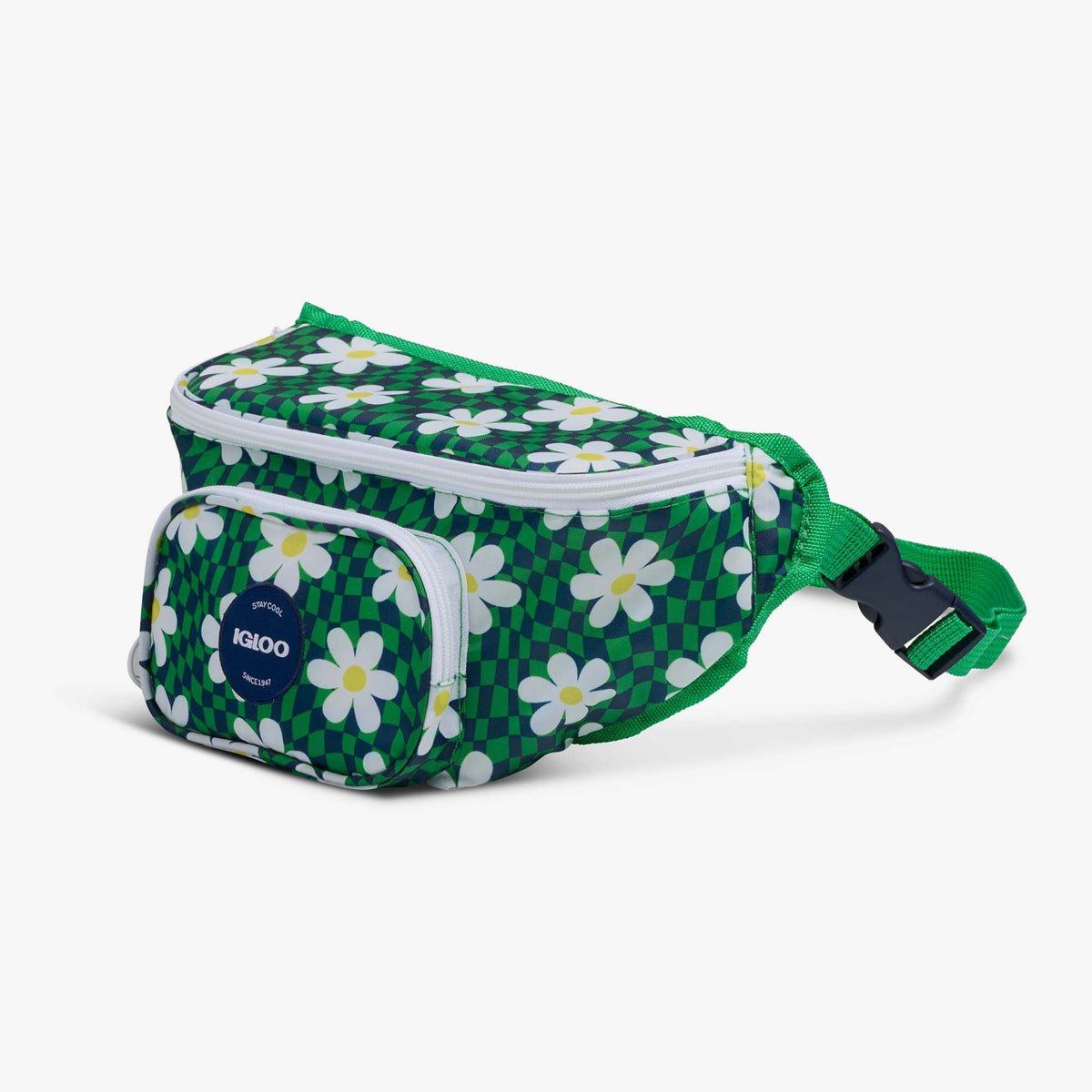 retro-fanny-pack-s4 00067206-H1.jpg